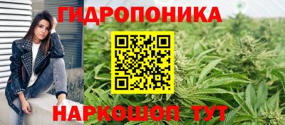 спайс Гусь-Хрустальный