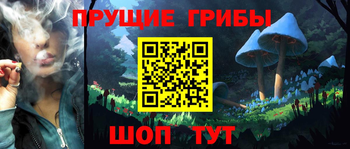 Галлюциногенные грибы Psilocybe Россошь