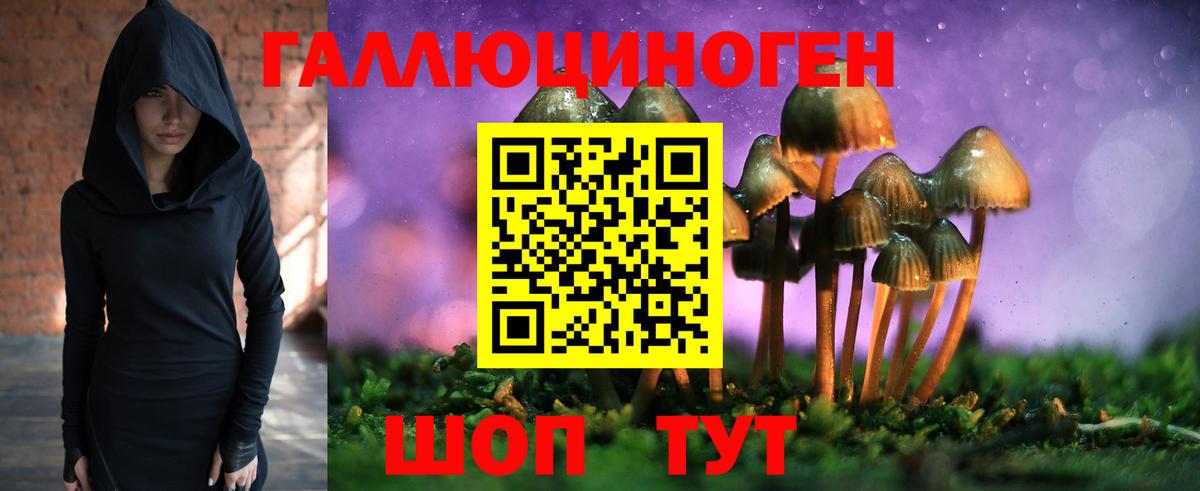 Галлюциногенные грибы мухоморы  Псилоцибиновые грибы Psilocybine cubensis  как найти наркотики  Россошь  Вход с VPN 